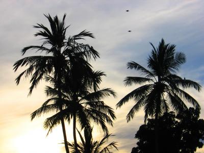 Прикрепленное изображение: IMG_0129.JPG